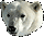 polar_bear2_2c.gif